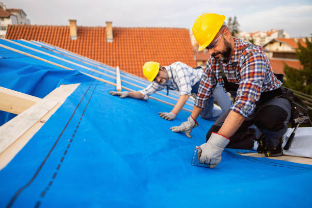 Best Roof Insulation Installation  in Industry, PA