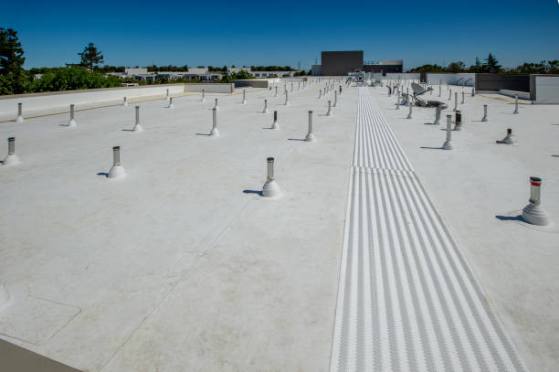 Best Asphalt Shingle Roofing  in Industry, PA